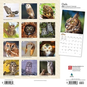 Owls - Uilen Kalender 2021