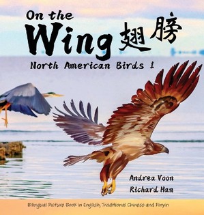 On the Wing - North American Birds 1