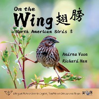 On the Wing 翅膀 - North American Birds 3