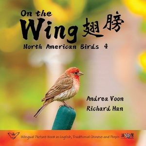 On the Wing 翅膀 - North American Birds 4