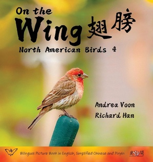 On the Wing 翅膀 - North American Birds 4