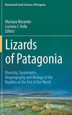 Lizards of Patagonia