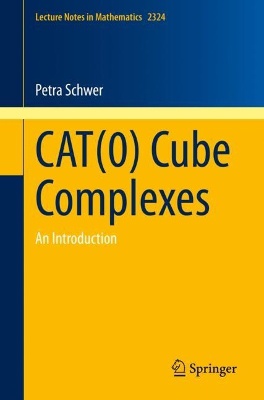 CAT(0) Cube Complexes