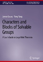 Characters and Blocks of Solvable Groups