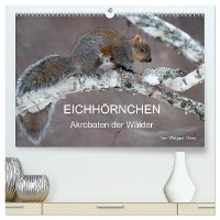 EICHHÖRNCHEN (hochwertiger Premium Wandkalender 2024 DIN A2 quer), Kunstdruck in Hochglanz