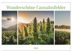 Wunderschöne Cannabisfelder (Wandkalender 2025 DIN A3 quer), CALVENDO Monatskalender
