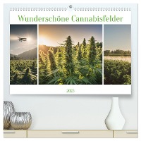 Wunderschöne Cannabisfelder (hochwertiger Premium Wandkalender 2025 DIN A2 quer), Kunstdruck in Hochglanz