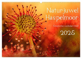 Naturjuwel Haspelmoor (Wandkalender 2025 DIN A2 quer), CALVENDO Monatskalender