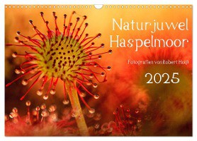 Naturjuwel Haspelmoor (Wandkalender 2025 DIN A3 quer), CALVENDO Monatskalender