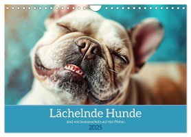 Lächelnde Hunde sind wie Sonnenschein auf vier Pfoten (Wandkalender 2025 DIN A4 quer), CALVENDO Monatskalender