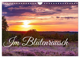 Im Blütenrausch der Lüneburger Heide (Wandkalender 2025 DIN A4 quer), CALVENDO Monatskalender