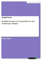 Ko-Kultivierung von Cyanobakterien mit Arabidopsis thaliana