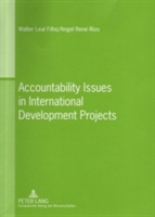 Accountability Issues in International Development Projects