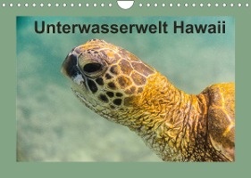 Hitzbleck, R: Unterwasserwelt Hawaii (Wandkalender 2022 DIN