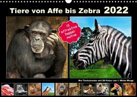Hamburg: Tiere von Affe bis Zebra 2022 (Wandkalender 2022 DI