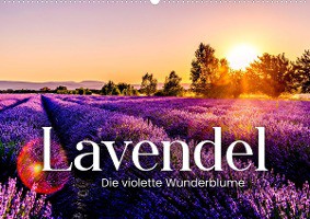 Sf: Lavendel - Die violette Wunderblume (Wandkalender 2023 D