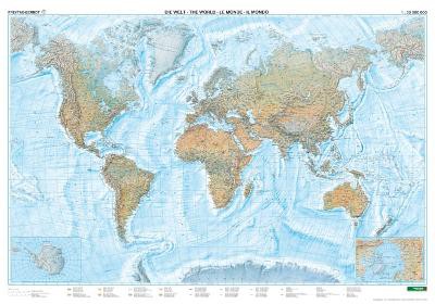 World physical sea relief Map  - large format