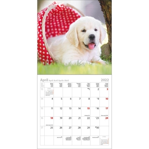 Dogs - Honden Kalender 2022
