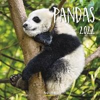 Pandas Kalender 2022