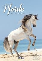 Pferde - Paarden Kalender 2022