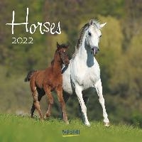 Horses - Paarden Kalender 2022