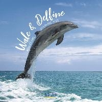 Wale und Delfine - Walvissen en Dolfijnen Kalender 2022