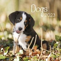 Dogs Honden Kalender 2023