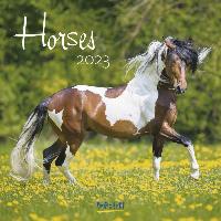 Horses Paarden Kalender 2023