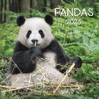Pandas Kalender 2023