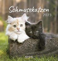 Schmusekatzen Katten Kalender 2023