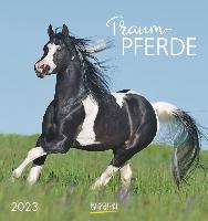 Traumpferde Droompaarden Postkaarten Kalender 2023