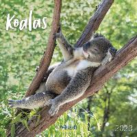Koala's Kalender 2023
