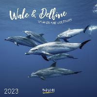 Walvissen en Dolfijnen Kalender 2023