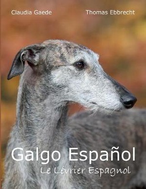 Galgo Español