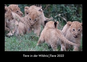 Tiere in der WildnisTiere 2022 Fotokalender DIN A3