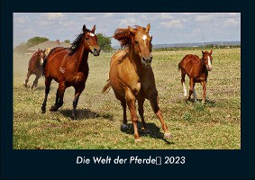 Die Welt der Pferde 2023 Fotokalender DIN A4