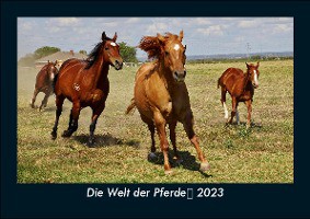 Die Welt der Pferde 2023 Fotokalender DIN A5