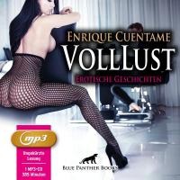 VollLust | 22 geile heiße erotische Geschichten | Erotik Audio Story | Erotisches Hörbuch MP3CD