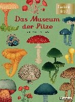 Das Museum der Pilze
