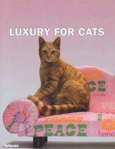 Luxury for cats
