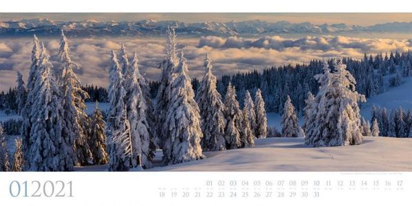 Wilde Wälder - Wilde Bossen - Wild Woods kalender 2021