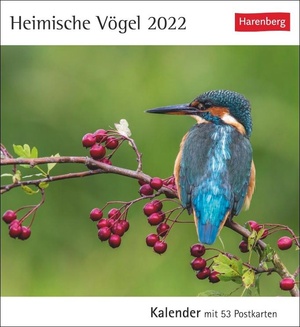 Heimische Vögel - Inheemse Vogels Postkaarten Weekkalender 2022