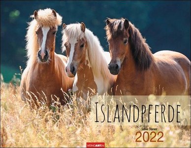 Islandpferde - IJslanders Kalender 2022