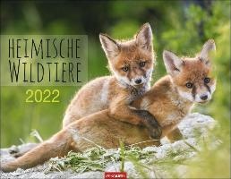Heimische Wildtiere - Inheemse Wilde Dieren Kalender 2022