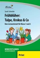 Frühblüher: Tulpe, Krokus & Co (PR)