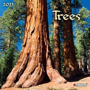 Trees - Bomen Kalender 2021