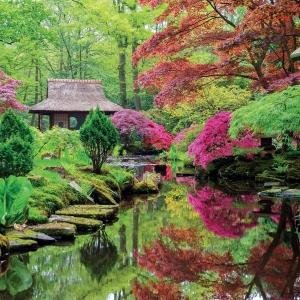 Japanese Garden - Japanse Tuin Kalender 2021