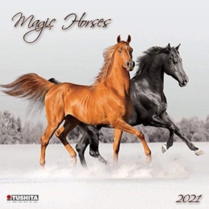 Magic Horses Kalender 2021