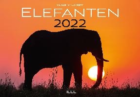 Elefanten - Olifanten Kalender  2022