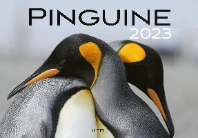 Pinguine Pinguins Kalender 2023